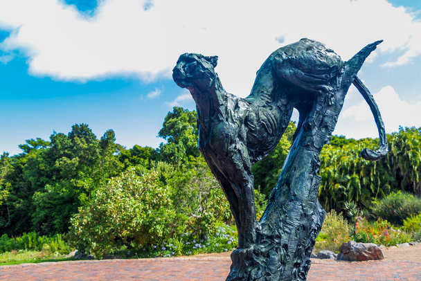 Puma sculpture in Kirstenbosch Botanical Garden, Cape Town - Photo, Image