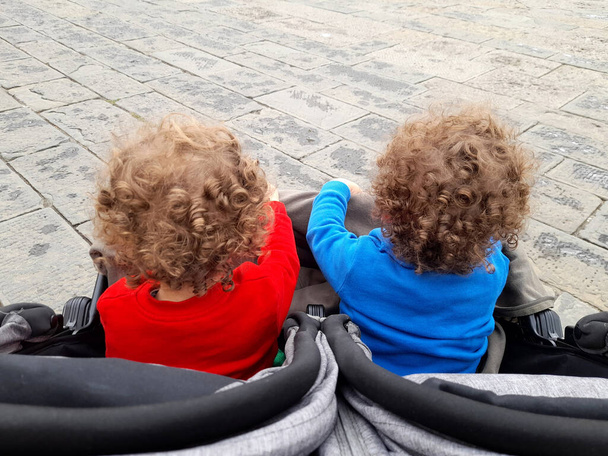 Twins in the stroller around the city - Photo, Image