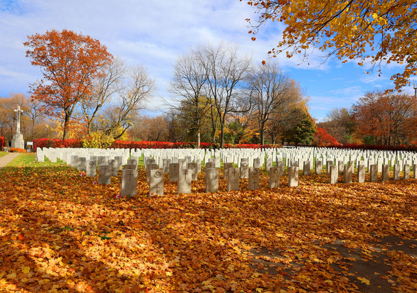 MONTREAL QUEBEC CANADA - 10 19 2022: Κανάριοι τάφοι στρατιωτών στο Notre Dame des Neiges Νεκροταφείο είναι ένα αγροτικό νεκροταφείο που βρίσκεται στο δήμο του Cote-des-Neiges-Notre-Dame-de-Grace  - Φωτογραφία, εικόνα