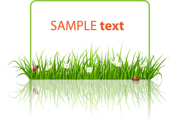 Spring banner with grass and ladybird - Vector, afbeelding