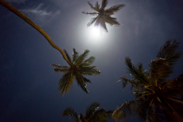 "Jericoacoara, Tropisch strand nachtzicht, Brazilië, Zuid-Amerika" - Foto, afbeelding