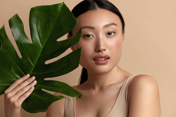 Skin Care Woman Posing with Green Leaf. Asian Model Holding Tropical Plant and Looking At Camera. Female With Nude Makeup, Smooth, Hydrated And Glowing Skin. Natural Beauty On Beige Background  - 写真・画像