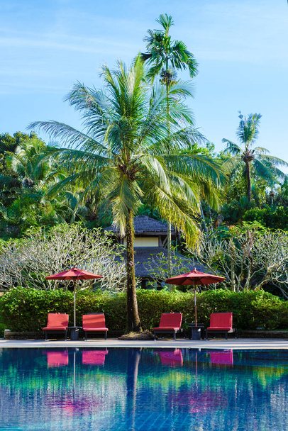 Luxury swimming pool with beach beds and palm trees during daytime - Foto, Bild