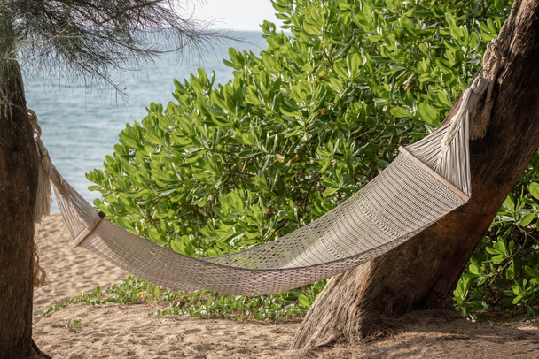Αιώρα swing μεταξύ των δέντρων σε ένα τροπικό νησί με όμορφη παραλία. - Φωτογραφία, εικόνα