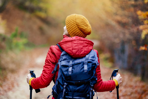 "Пішохідна дівчина з полюсами і рюкзаком на стежці. Зворотній перегляд. Подорожі та здоровий спосіб життя на відкритому повітрі в осінній сезон
." - Фото, зображення