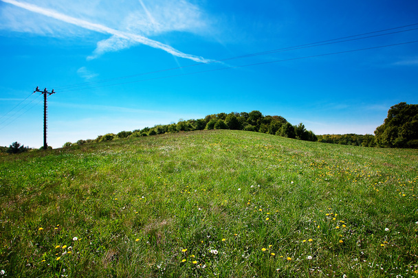 Meadow and power line against the blue sky - Φωτογραφία, εικόνα