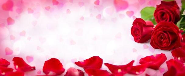 Invitación de San Valentín con corazones, pétalos y flor de rosas rojas
 - Foto, Imagen