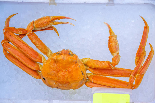 "Red King Crab (Taraba crab) or Alaska King Crab  at seafood market in Hakodate, Hokkaido" - Photo, Image