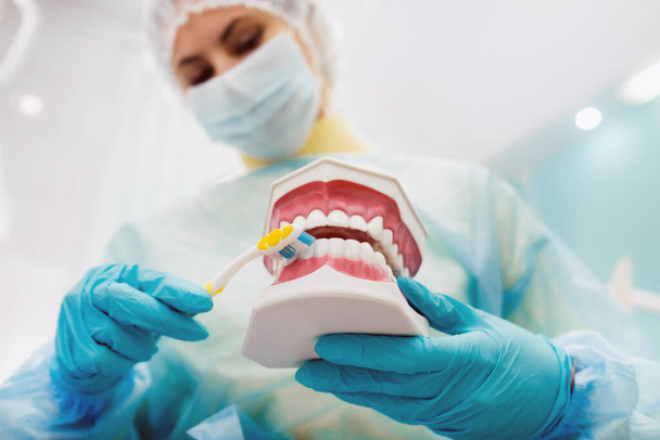 "Dişlerinin arasında diş fırçası olan bir insan çenesi modeli." - Fotoğraf, Görsel