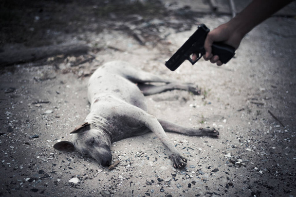 Mal objetivo humano de perro y matar con pistola de mano. Matanza de animales y concepto de asesinato, concepto criminal y forajido, tono oscuro y viñeta - Foto, Imagen