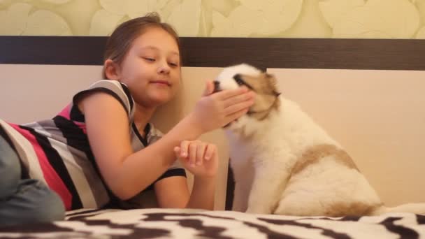 Girl playing with a puppy - Metraje, vídeo