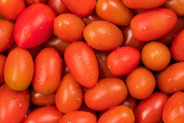 新鮮な熟した有機トマトのクローズアップビュー  - 写真・画像