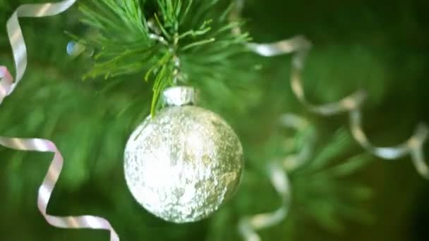 Abete albero palla decorazione
 - Filmati, video