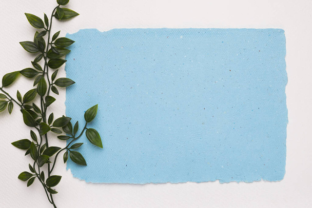 τεχνητό πράσινο κλαδί κοντά στο μπλε σχισμένο χαρτί λευκό φόντο - Φωτογραφία, εικόνα