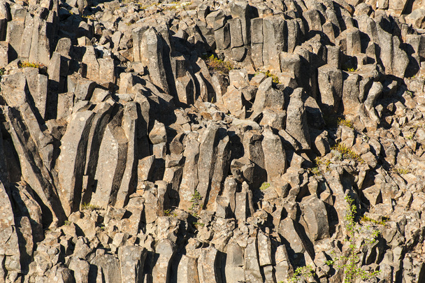 Basalt column - Φωτογραφία, εικόνα