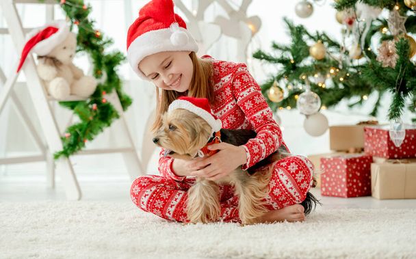 Enfant en période de Noël, mignonne petite fille jouant avec le chien - Photo, image