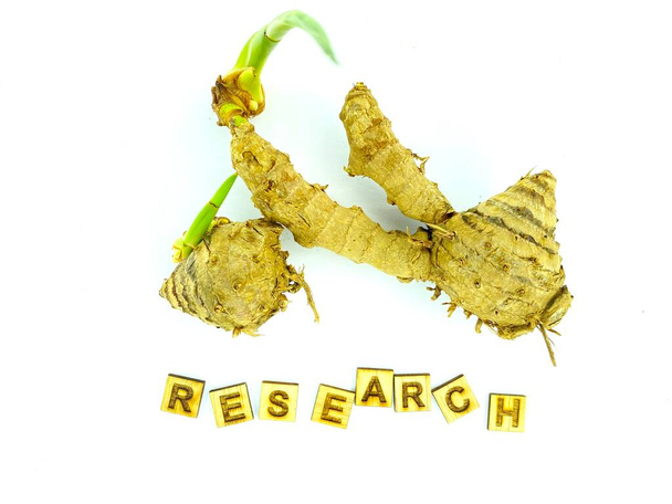 Recent studies on Curcuma zanthorrhiza reveal its potential in treating various ailments. Its anti-inflammatory and antioxidant properties show promise in liver health,  as an immune booster. Ongoing research aims to unlock more therapeutic benefits - Photo, Image