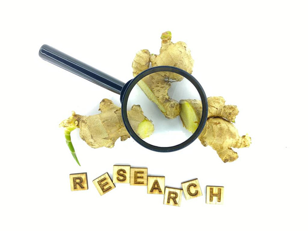 Zingiber officinale (ginger) research highlights its anti-inflammatory, digestive, and nausea-relief benefits, with studies exploring its impact on immunity and pain management - Photo, Image