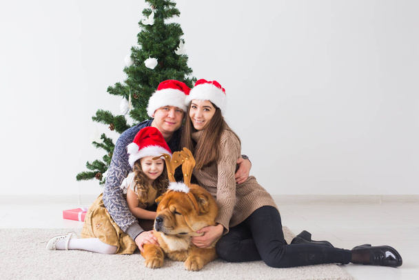 Κατοικίδια, γιορτές και εορταστικές ιδέες - Οικογένεια με σκύλο στέκονται κοντά στο χριστουγεννιάτικο δέντρο. - Φωτογραφία, εικόνα