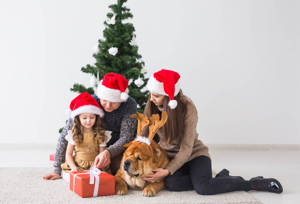 Κατοικίδια, γιορτές και εορταστικές ιδέες - Οικογένεια με σκύλο στέκονται κοντά στο χριστουγεννιάτικο δέντρο. - Φωτογραφία, εικόνα