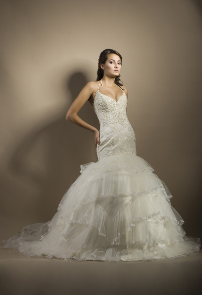 The beautiful young woman posing in a wedding dress - Photo, Image