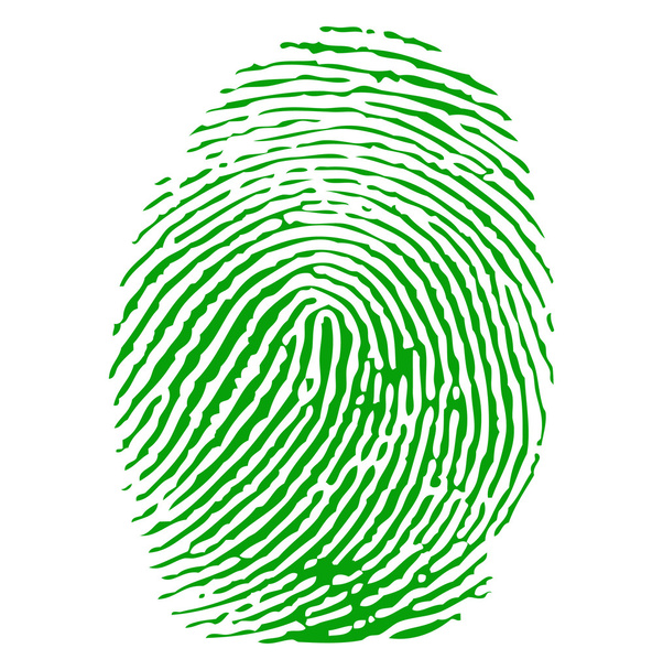 Green fingerprint vector - Vector, Image