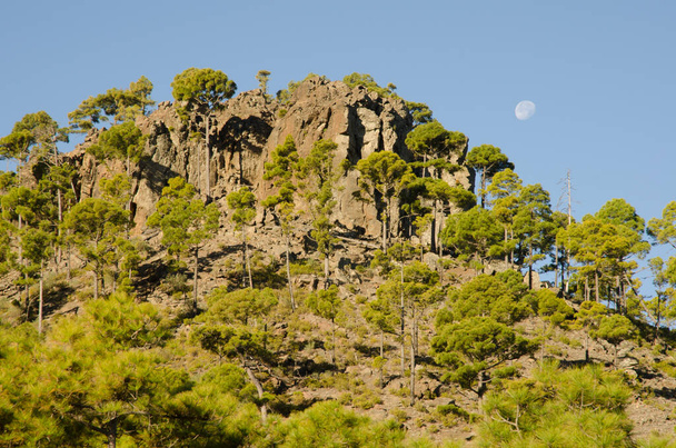 Cliff and moon. Ojeda Mountain. Integral Natural Reserve of Inagua. Gran Canaria. Canary Islands. Spain. - Photo, Image