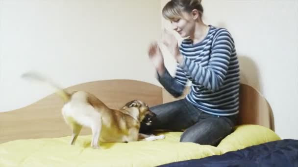 Woman playing with joyful dog - Filmagem, Vídeo