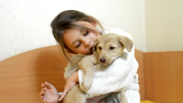 Little girl with puppy on couch - Video, Çekim