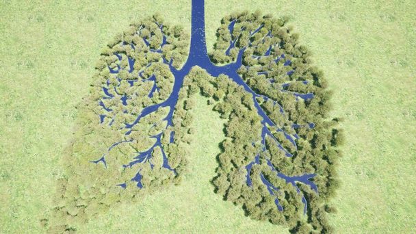 Leśne płuca Środowisko przyroda ziemia Zapisz zieleń zielona planeta 3d renderowania - Zdjęcie, obraz