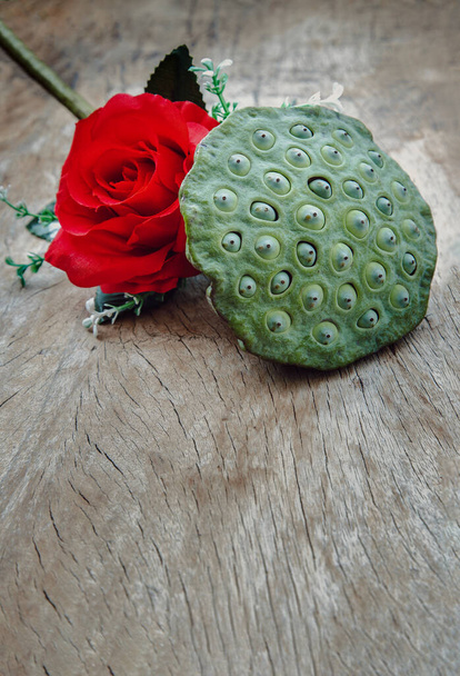 "Flor de rosa roja y vainas de semillas de loto verde fresco sobre fondo de tablero de madera viejo. " - Foto, imagen