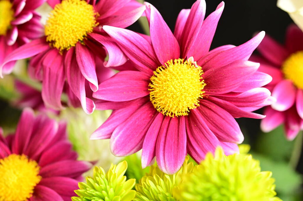 close-up van mooie bloemen in boeket - Foto, afbeelding