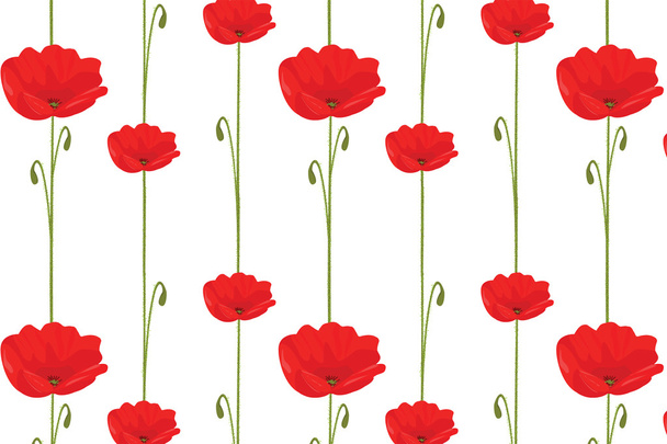 Seamless poppy pattern - Vettoriali, immagini