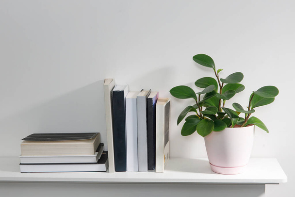 Peperomia magnoliifolia in een roze plastic pot, een stapel boeken ligt op de boekenplank. Interieur van een tienerkamer. - Foto, afbeelding