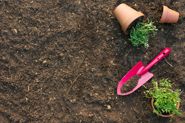 "spade with flowerpots ground" - Photo, Image