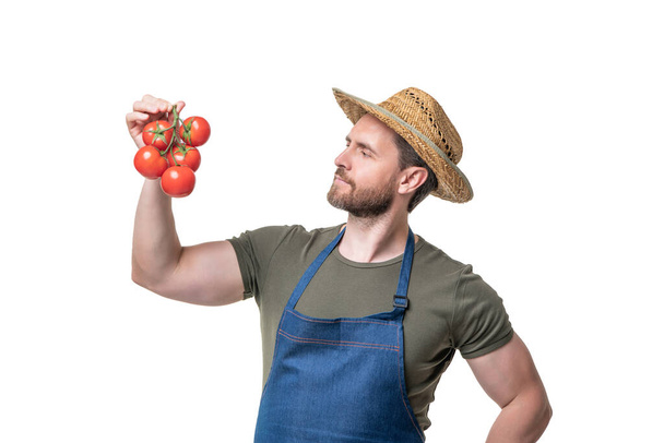 man in apron and hat with tomato bunch isolated on white. - Фото, изображение