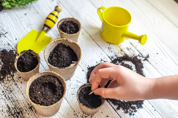 Planting seeds in spring. seeds in hand against soil in paper pots, watering can on craft paper. pots for seedlings, seed tanks for home gardening. - Fotoğraf, Görsel