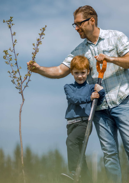 "Ojciec i syn sadzenie drzew - współpraca" - Zdjęcie, obraz