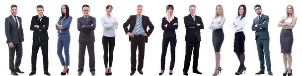 группа успешных бизнесменов, изолированных по белому - Фото, изображение