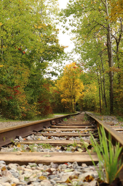 staré koleje uprostřed břízového lesa v podzimních barvách - Fotografie, Obrázek