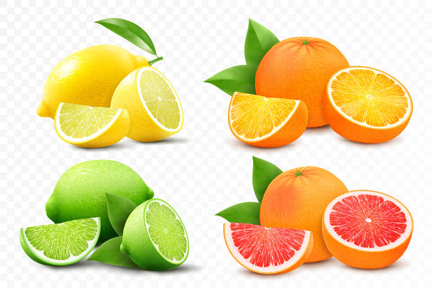 Set of citrus lemon, mandarin, lime, orange, grapefruit - whole, cut half and slices. Fresh sour citrus fruit with vitamins. Realistic 3d vector illustration isolated on white background - Photo, Image