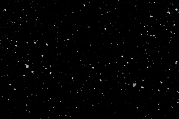 Neve caduta isolata su fondo nero  - Foto, immagini