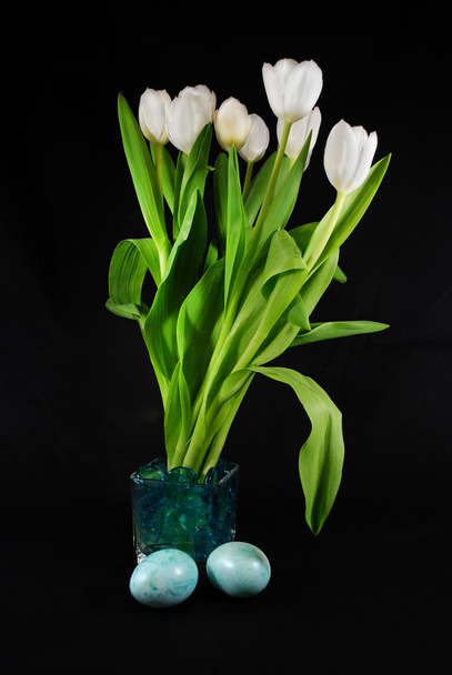 Tulipes de Pâques sur noir
 - Photo, image