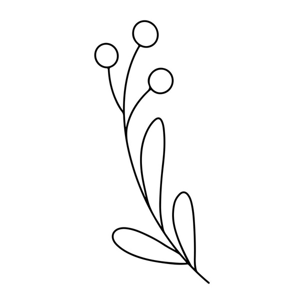 Hand drawn minimalist branch with leaves and berries. Black contour line outline vector illutration in minimal doodle style. Winter holidays floral clip art, greenery. - Vettoriali, immagini
