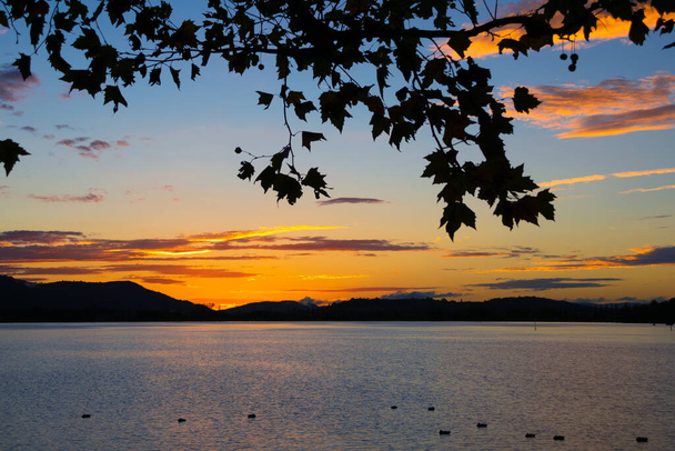 Auringonlasku kauniilla Bodenjärvellä lehdet etualalla - Valokuva, kuva