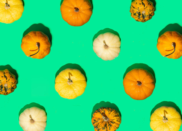 Little pumpkins pattern on green background. Minimalistic fall composition. Creative autumn concept. - Fotó, kép