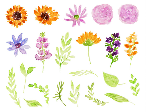 set of colorful spring wild flower and leaf watercolor - Vector, Image