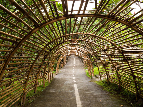 Beautiful tunnel that made from bamboes - Фото, изображение