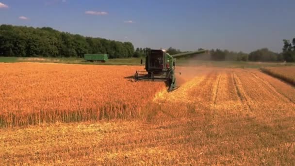 Combine harvester - Footage, Video