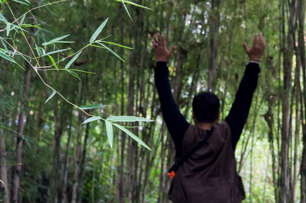 Muž se ohlédne zezadu přes cestu mezi bambus. Koncept přírody - Fotografie, Obrázek